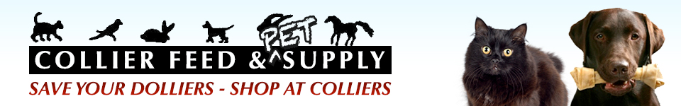 collier feed & pet supply