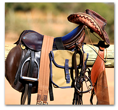 equestrian supplies